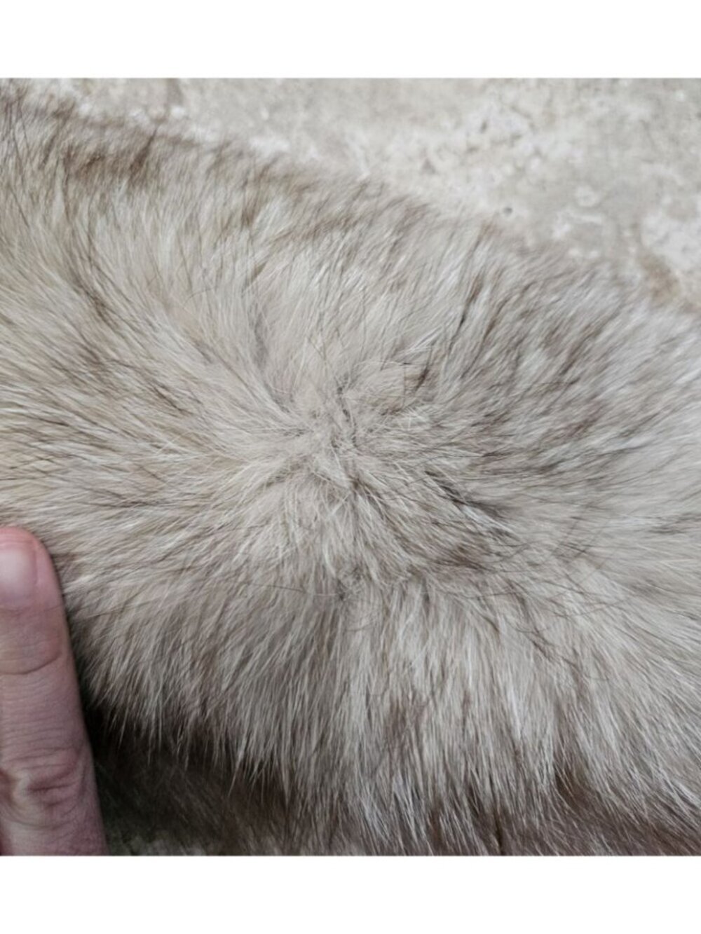 Vintage Womens 32" Collar Silver Fox Fur Stole Frost Statement Quiet Luxury Rare - Picture 5 of 7